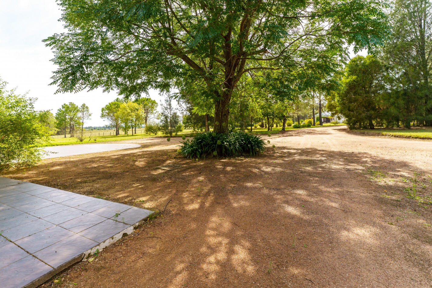 ESTANCIA EN PUNTA DEL ESTE