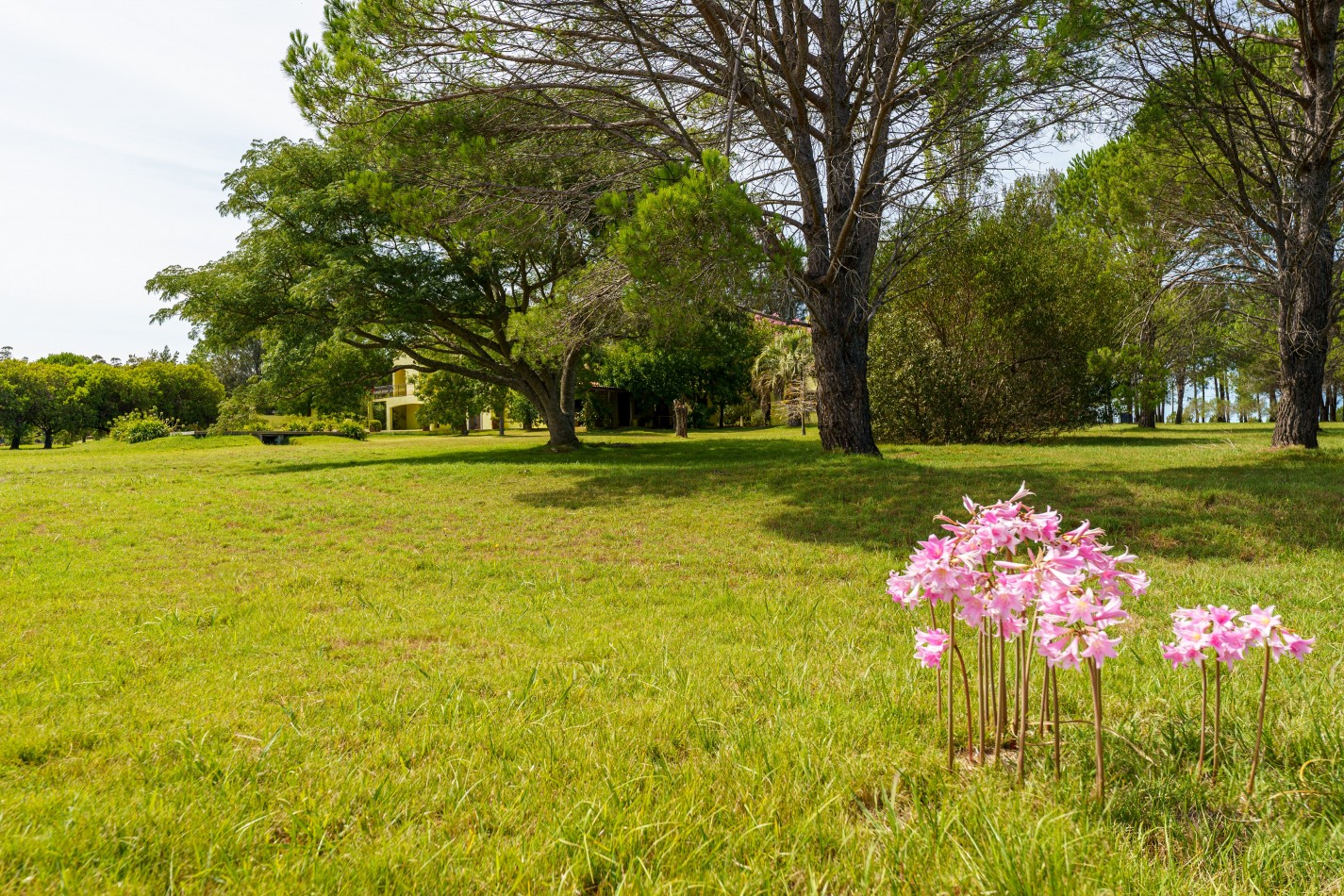 ESTANCIA EN PUNTA DEL ESTE