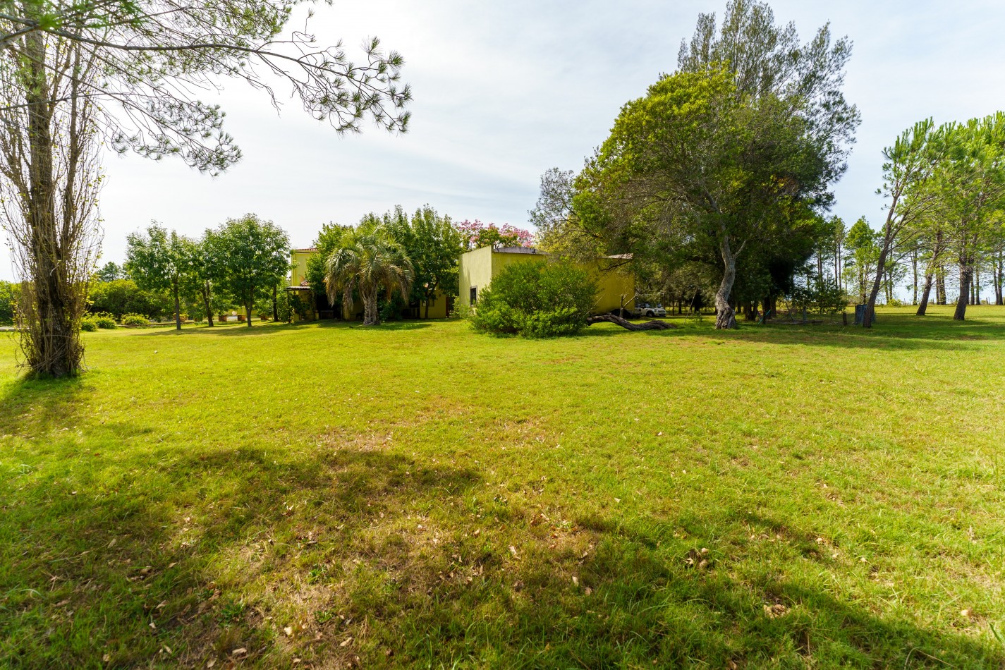 ESTANCIA EN PUNTA DEL ESTE