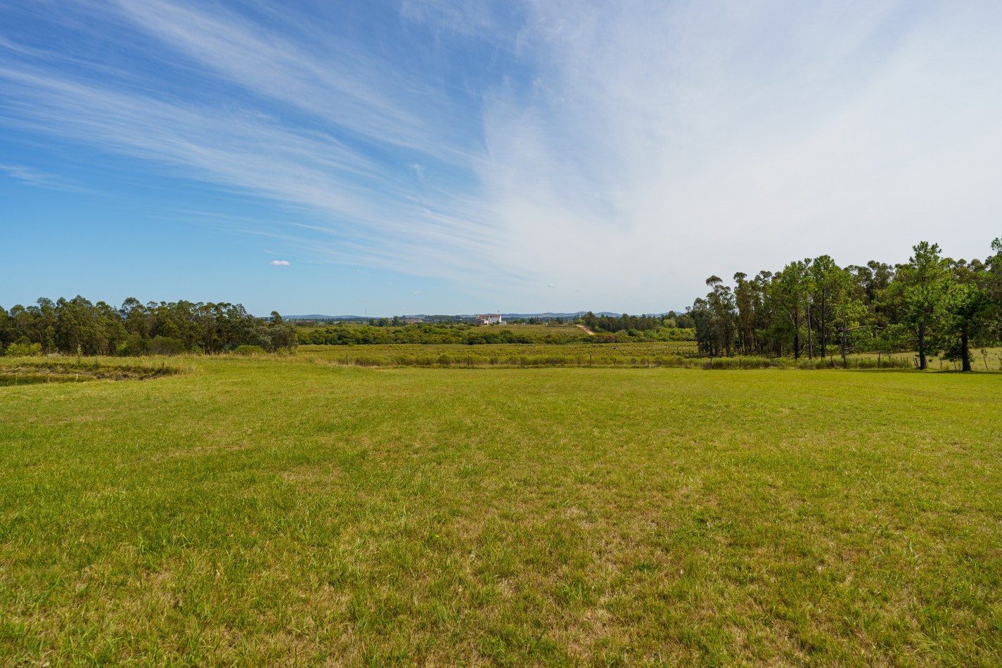 ESTANCIA EN PUNTA DEL ESTE