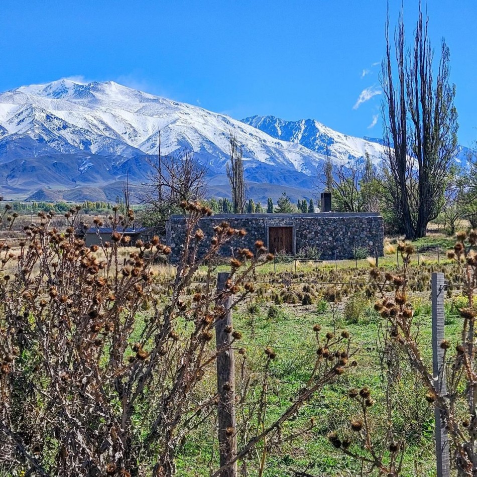 ESTANCIA ATAMISQUE