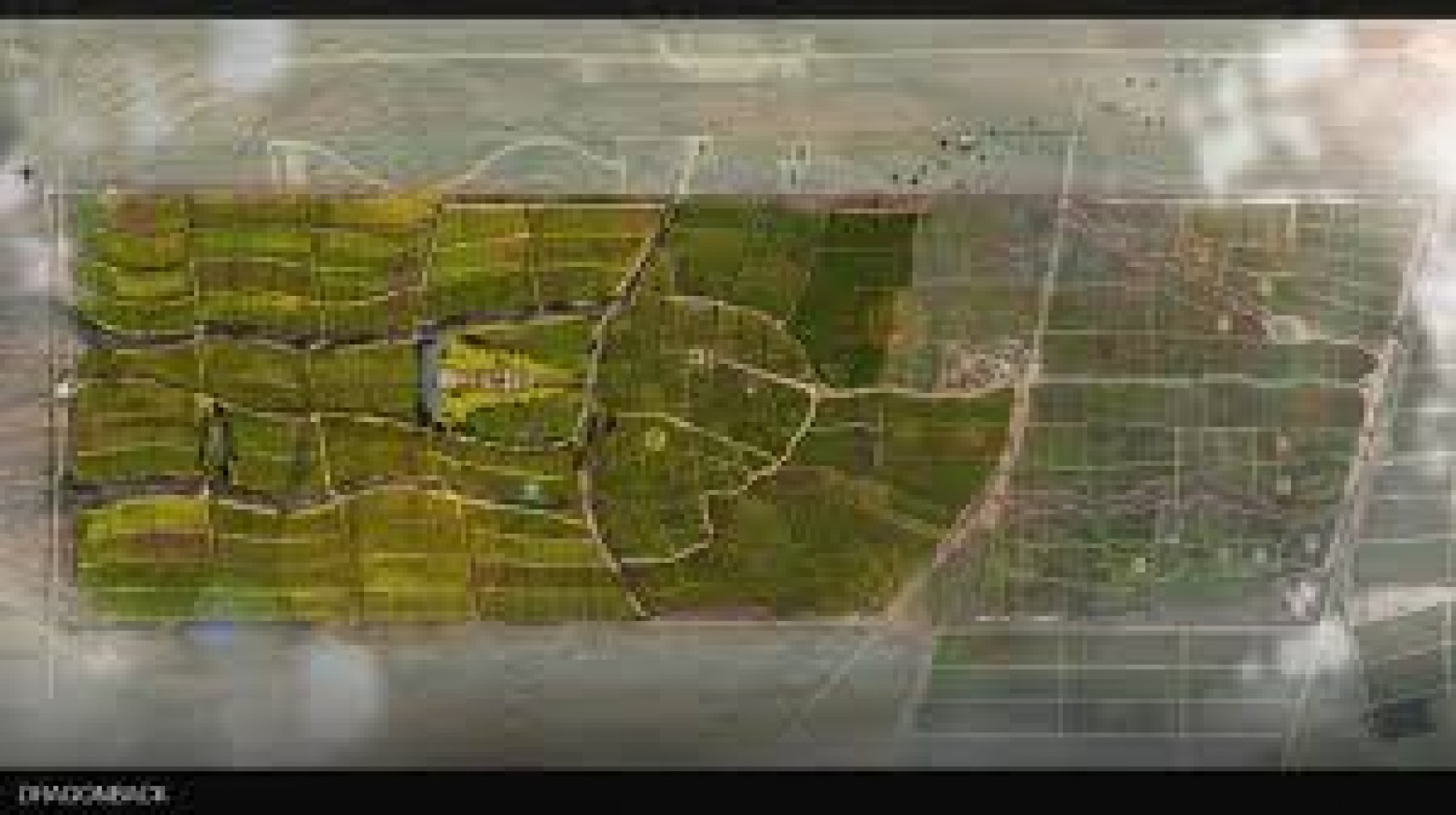 DRAGON'S BACK ESTATE