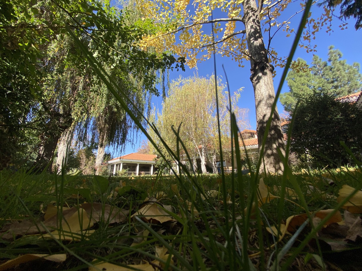 CASA COLONIAL