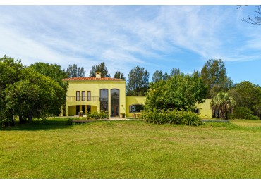 ESTANCIA EN PUNTA DEL ESTE