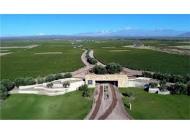 DRAGON'S BACK ESTATE
