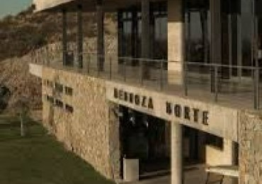 Lote Mendoza Norte